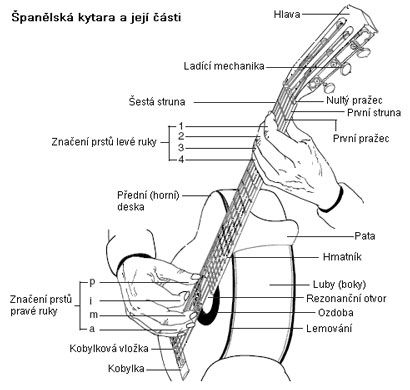 La guitarra española y sus partes.